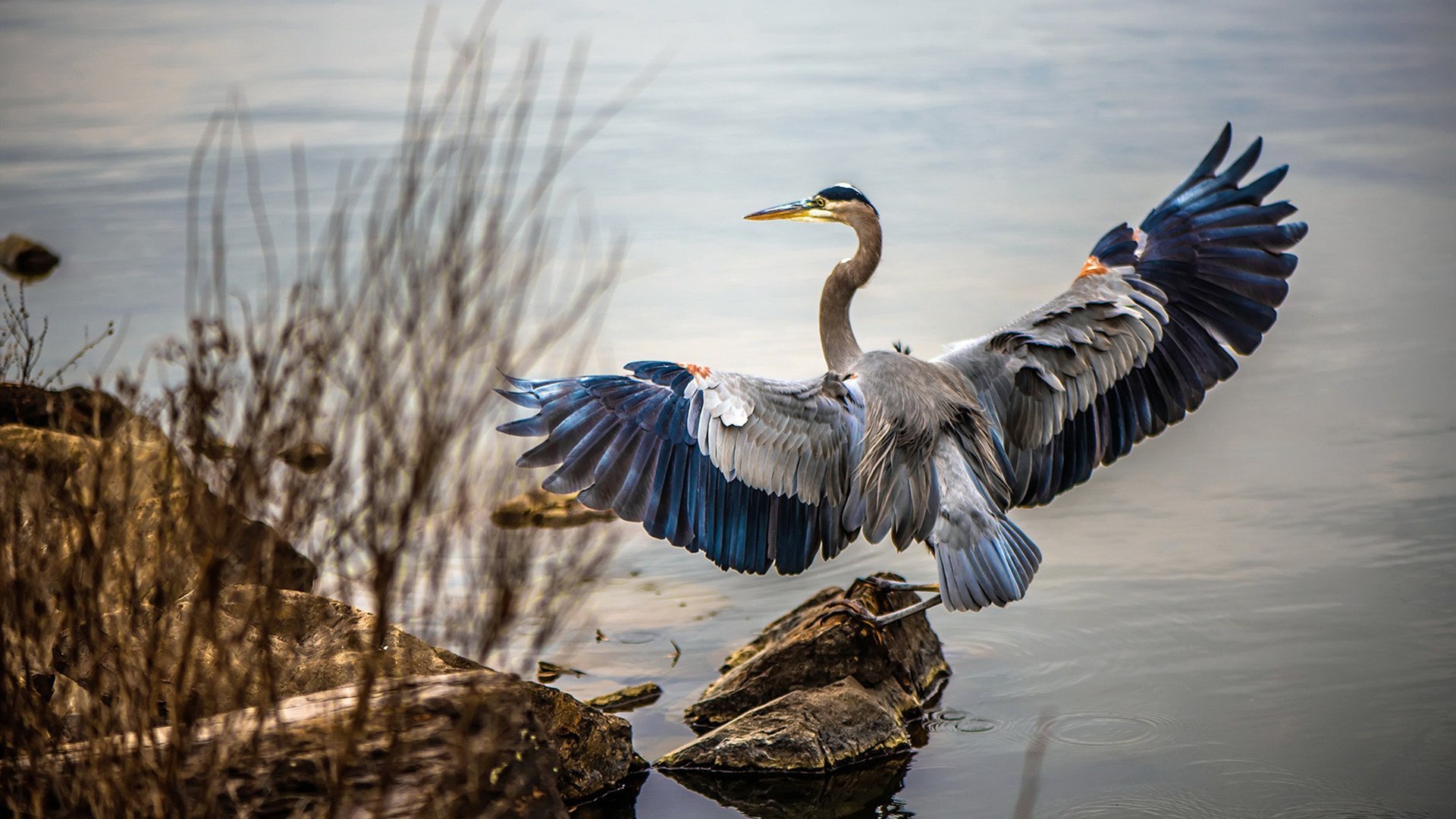 九游jiuyou-_火山脚下的探险跑：自然风光中的极限运动_，火山探险之旅