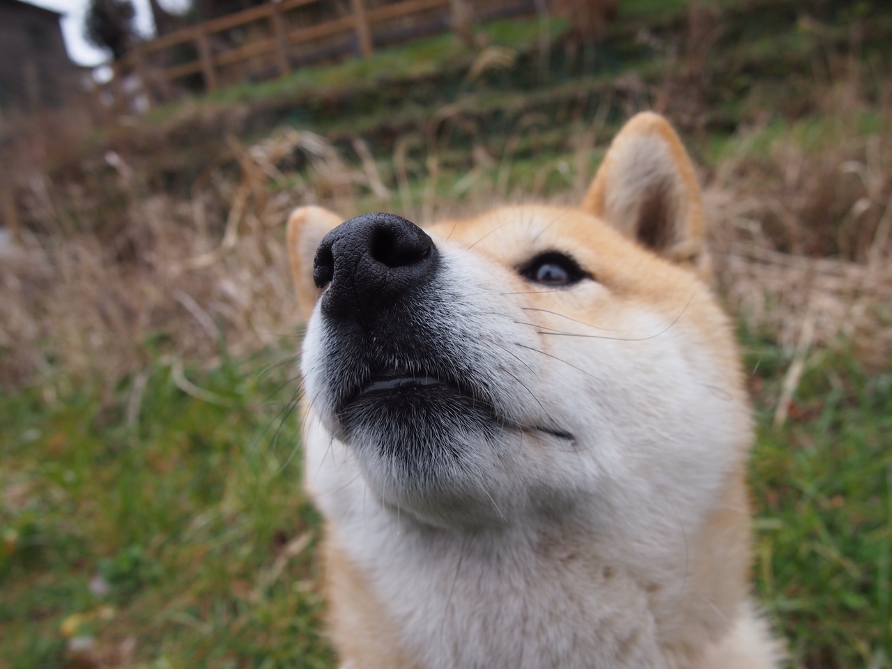 “青春追梦”青少年篮球公益跑在武汉燃情开启,激励青少年勇于追梦