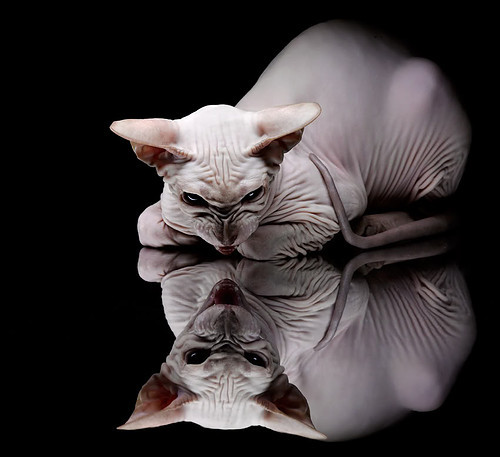 九游app下载中心-【“快节奏”规则——比赛时间缩短带来的巨大变化】，快节奏什么意思