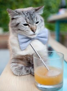 【传感器球飞行追踪】比赛瞬间尽在掌握，科技助力极限突破，flying fish传感器