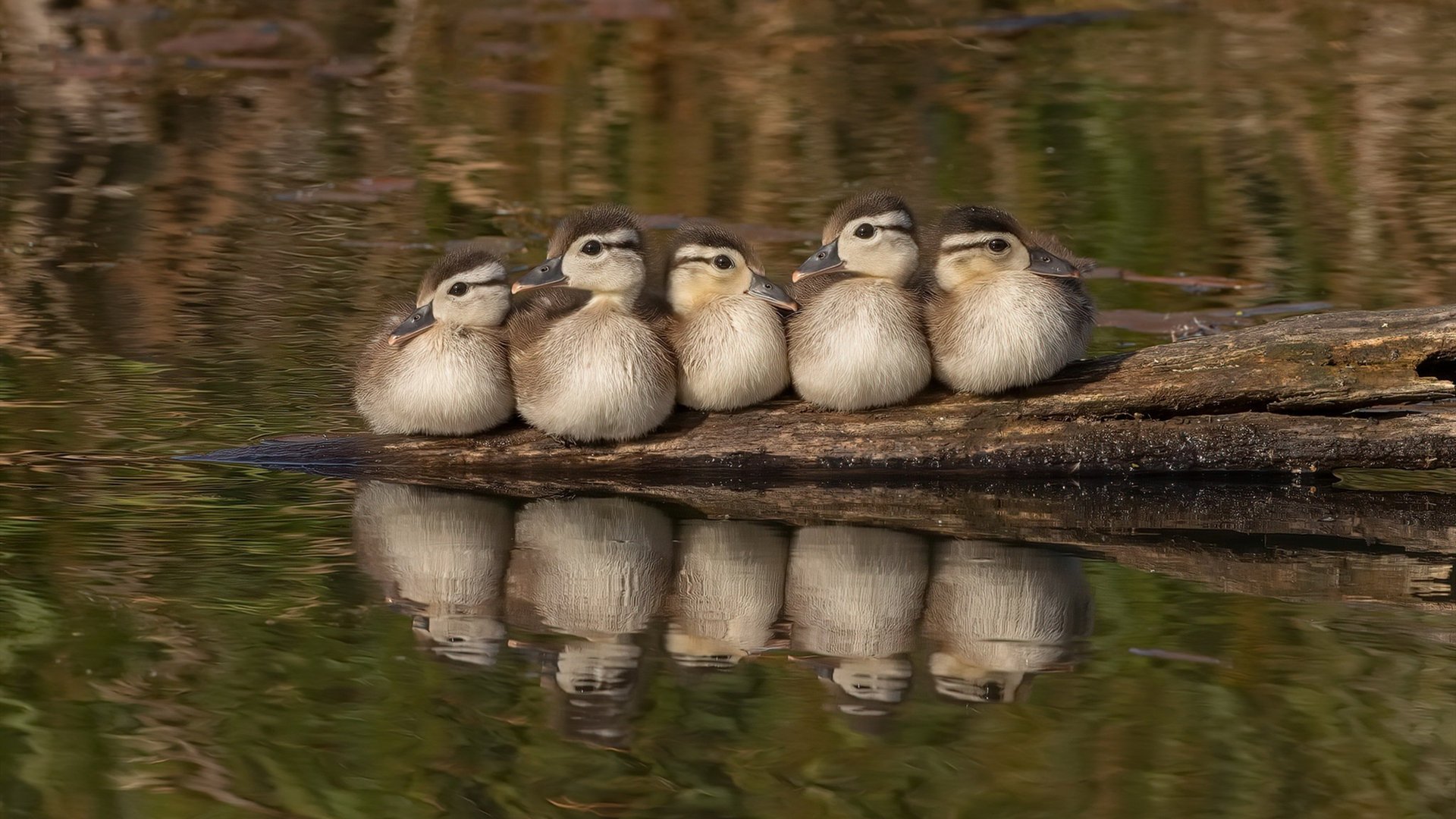 九游游戏中心-划水竞速：江河湖泊的激烈角逐，划水是什么地方的方言