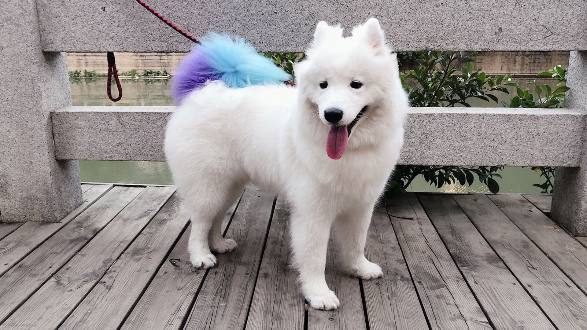 史上最“炸裂”的逆转瞬间,谁能再现奇迹?,最惊人的大逆转