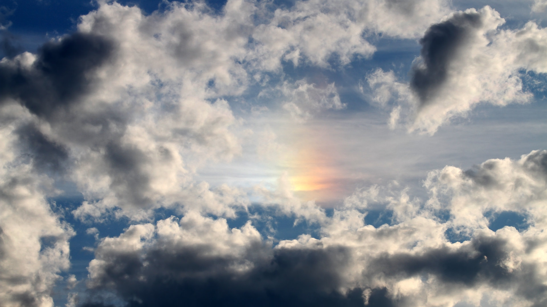 九游登录入口-城市夜光水上风筝节，灯火闪耀中的空中盛会