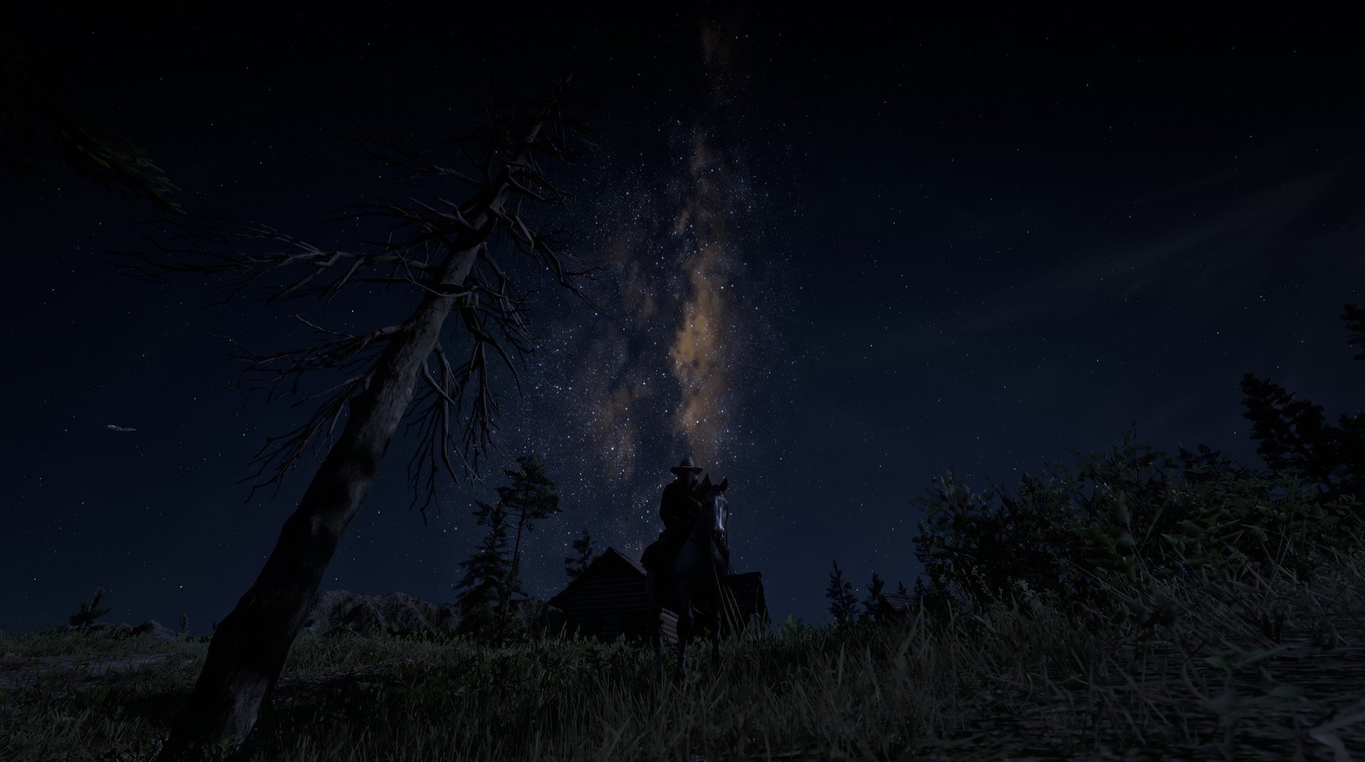 意大利骑手拉里萨·保利斯在2024年巴黎奥运会盛装舞步比赛中获得第七名，展现出色表现。