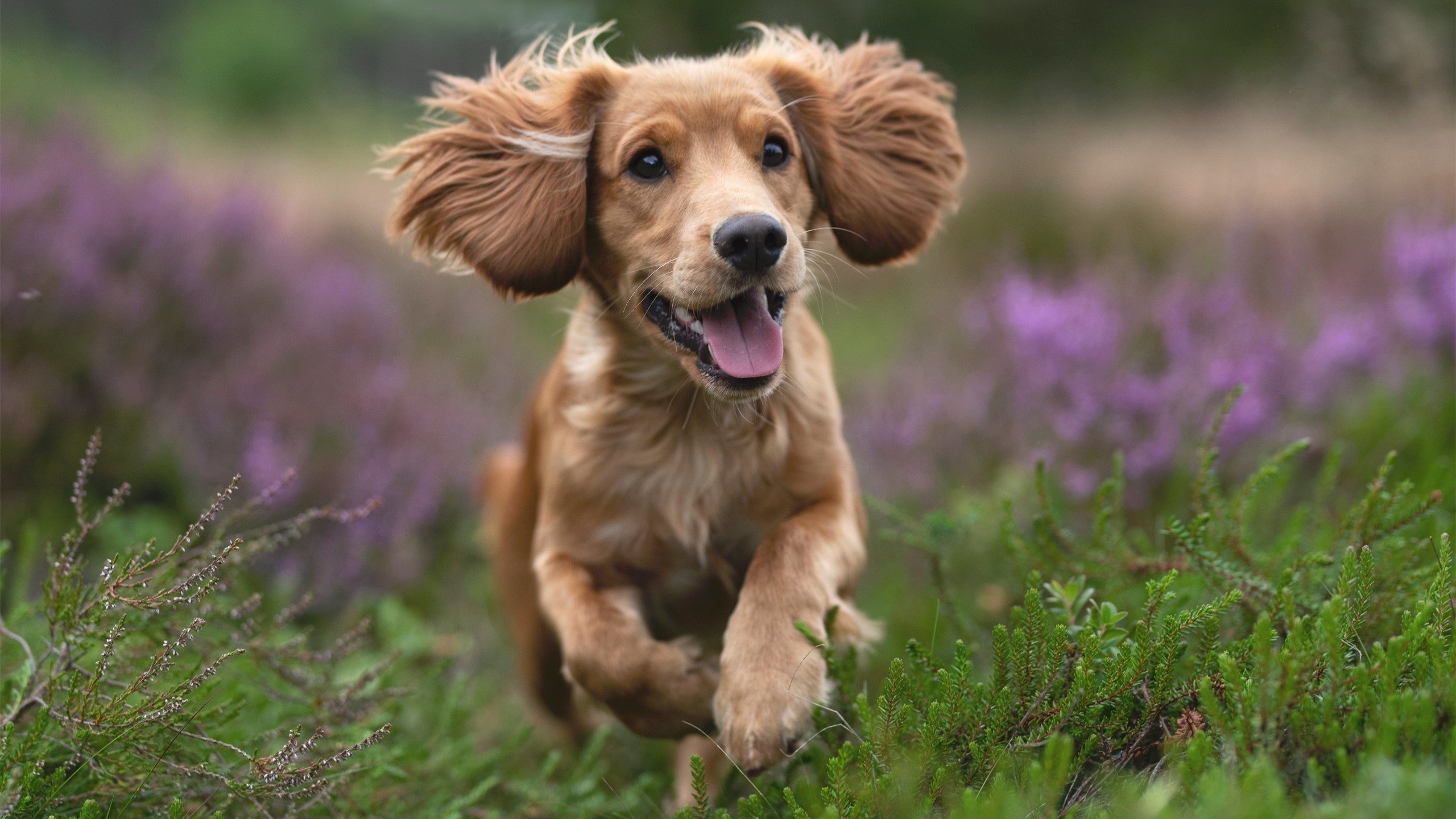 JIUYOU GAMING-普拉提课程与冥想结合，促进身心放松，普拉提冥想词