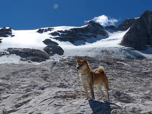 民族传统斗牛竞技盛典，文化与体育的完美碰撞，斗牛比赛规则详细