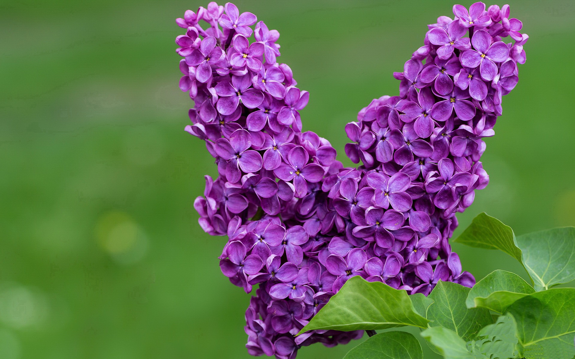 九游游戏中心-球员故事：他们如何从平凡迈向传奇？，球星故事汇