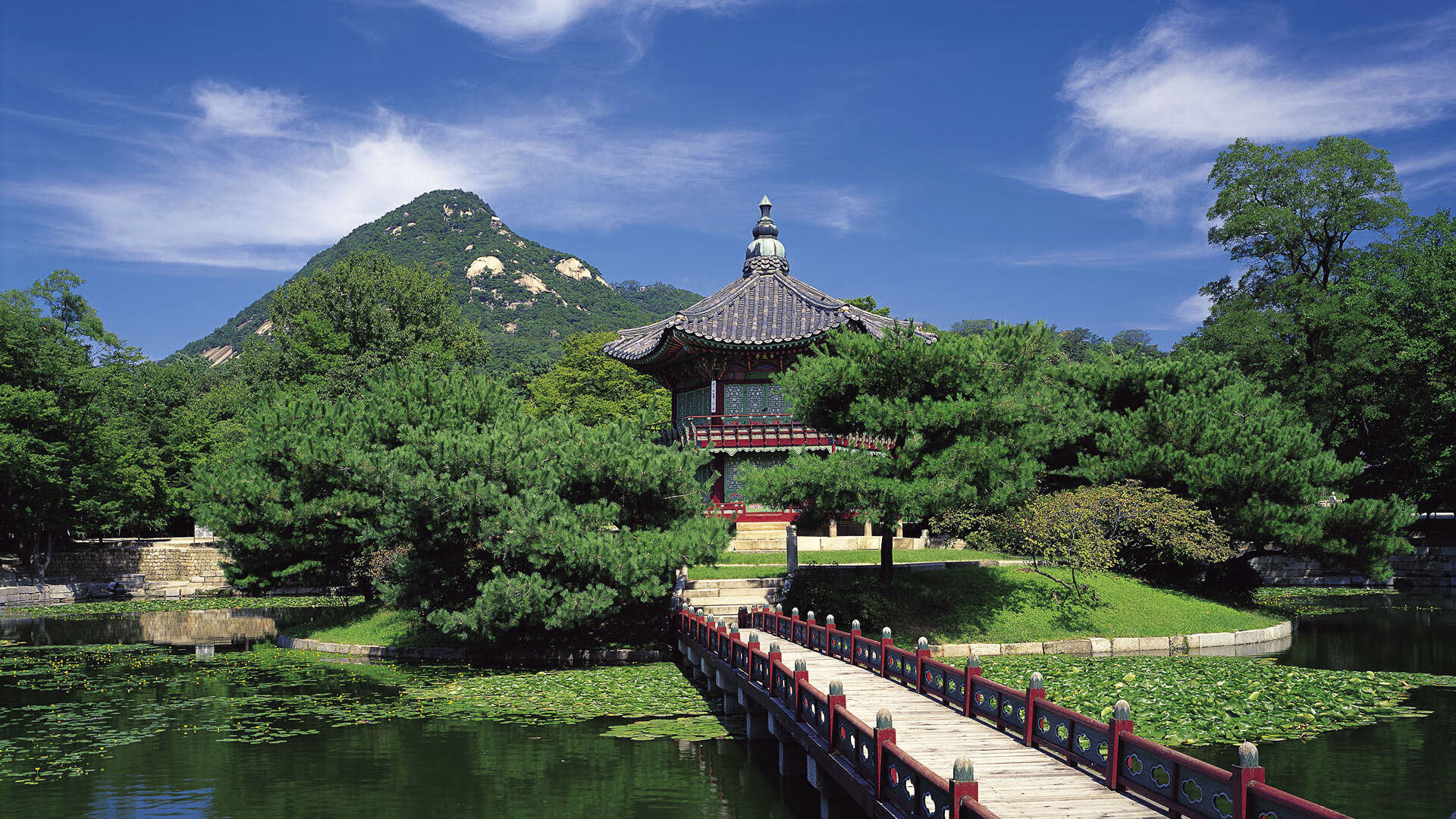 经典战役回顾：中国篮球历史上的辉煌瞬间，中国篮球辉煌时刻