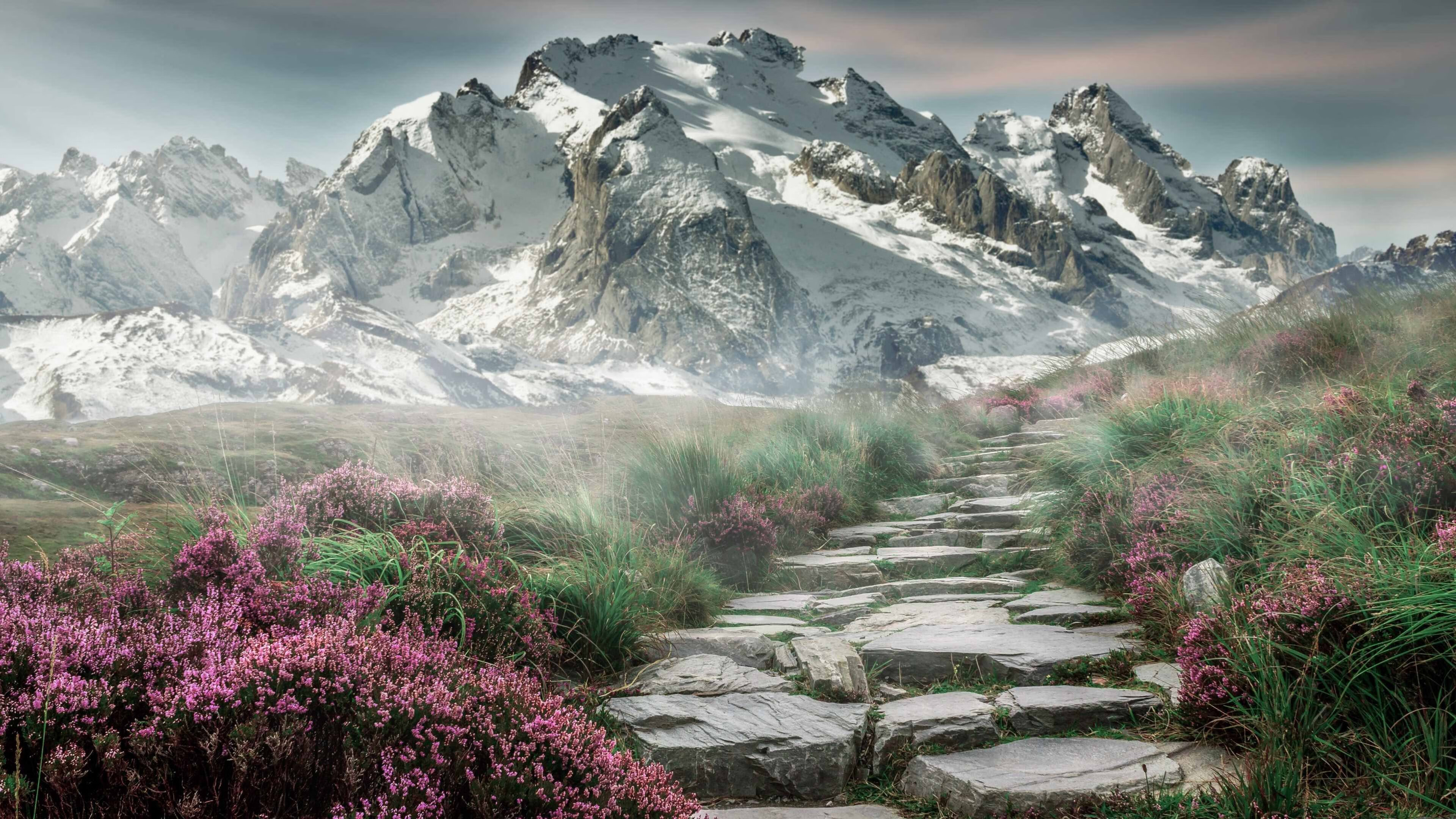 九游下载中心-多特蒙德遭逢败仗，德甲领头羊地位岌岌可危，多特蒙德在德甲地位