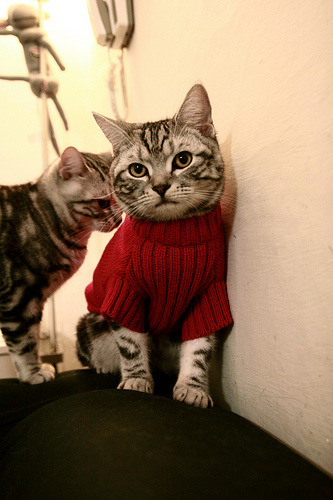 九游娱乐(jiuyou)官网-英格兰奥运金牌梦止步半决赛，英格兰夺冠的视频