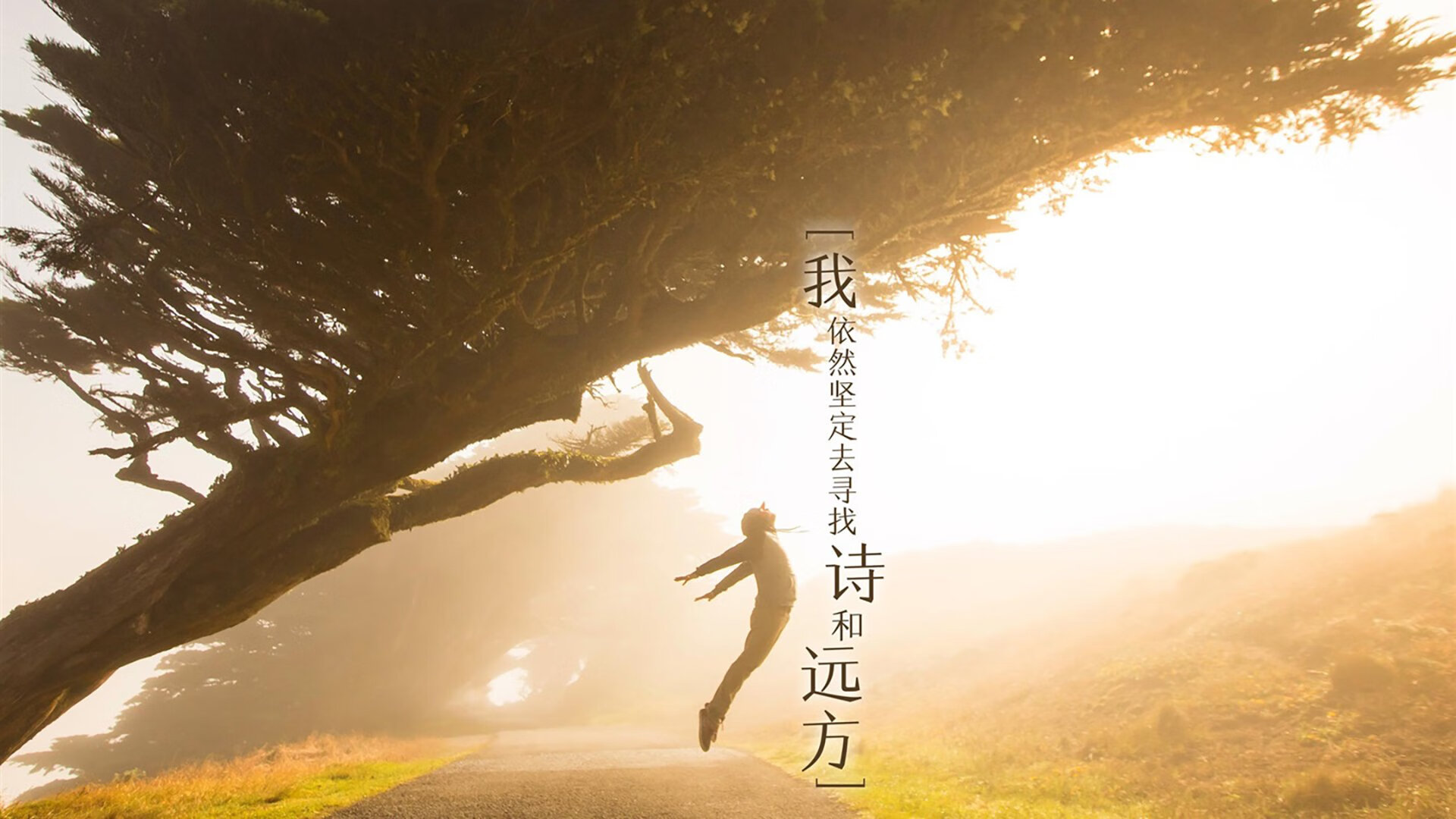 东京奥运会后中国体操队重建计划公布,东京奥运会中国体操队获奖情况