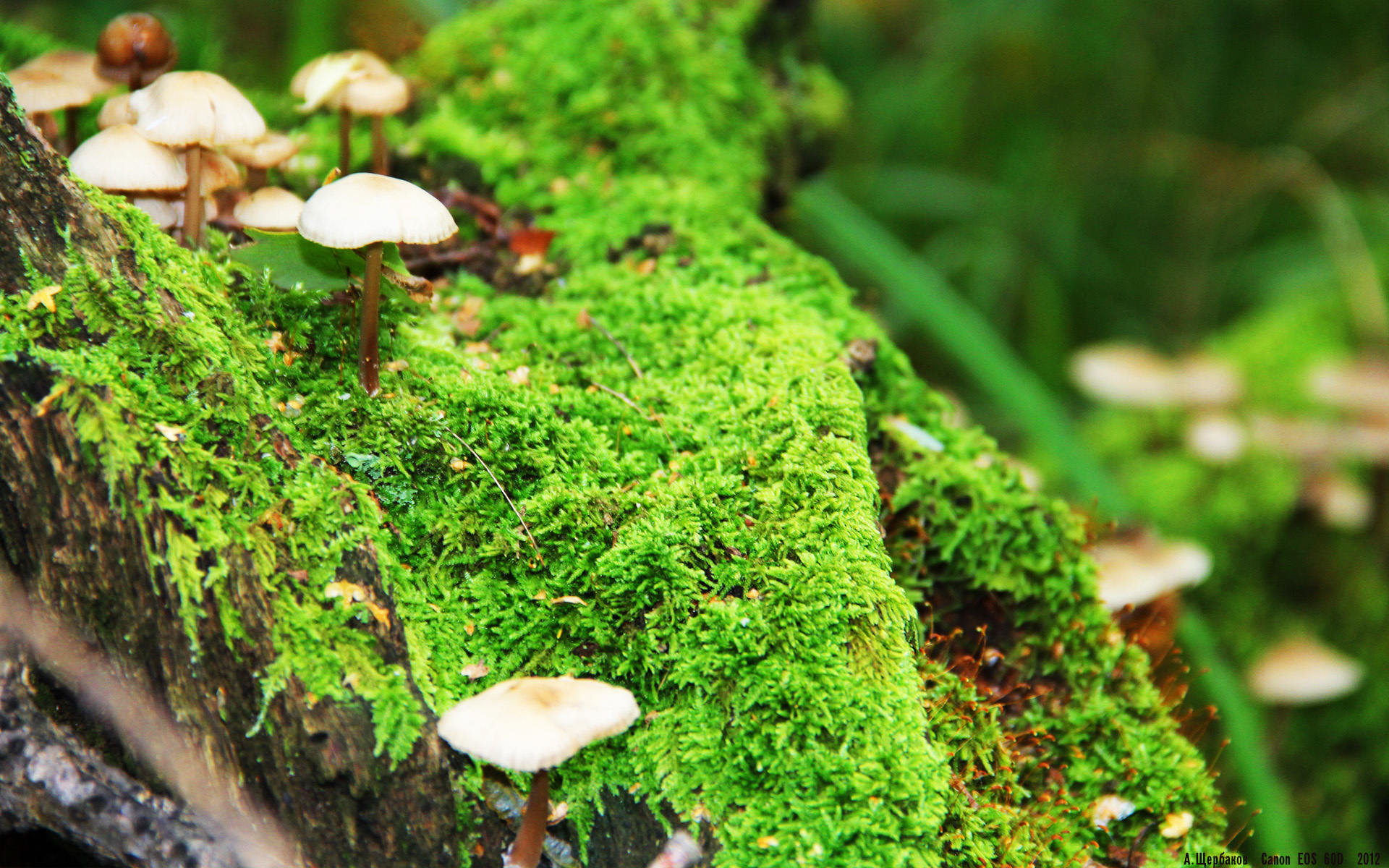 九游网-网球训练引入虚拟现实辅助系统，虚拟网球免验证中文版